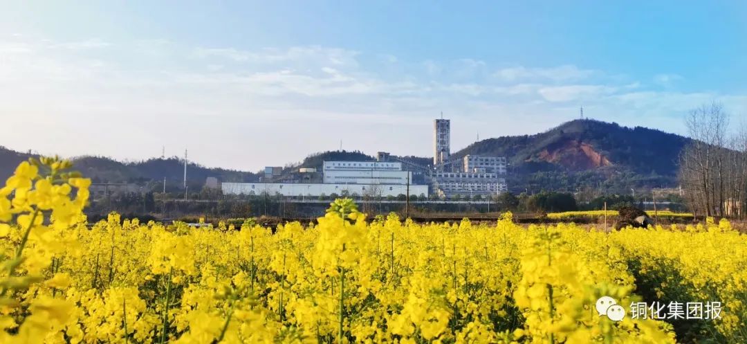 首页- 南宫NG28集团娱乐官方网站