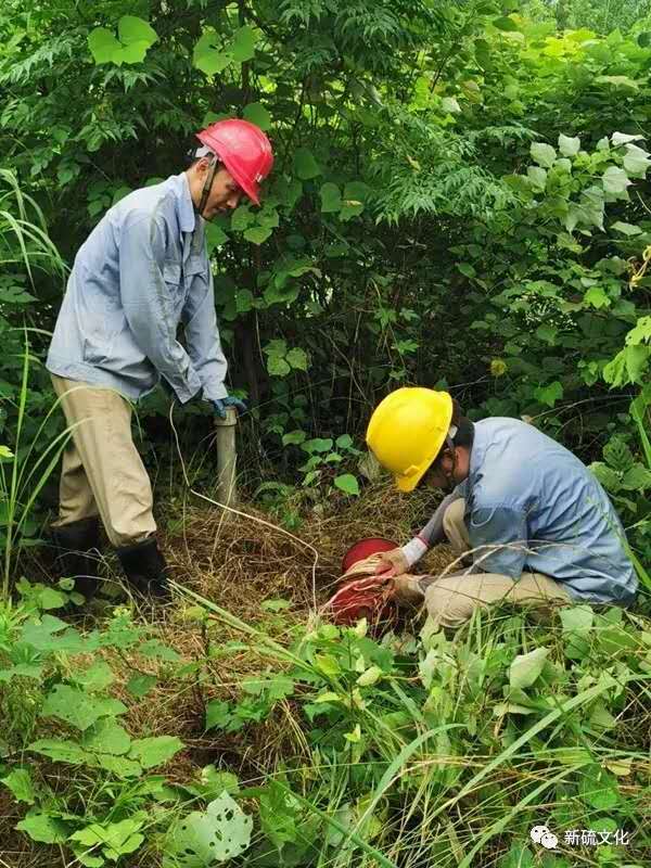 首页- 南宫NG28集团娱乐官方网站